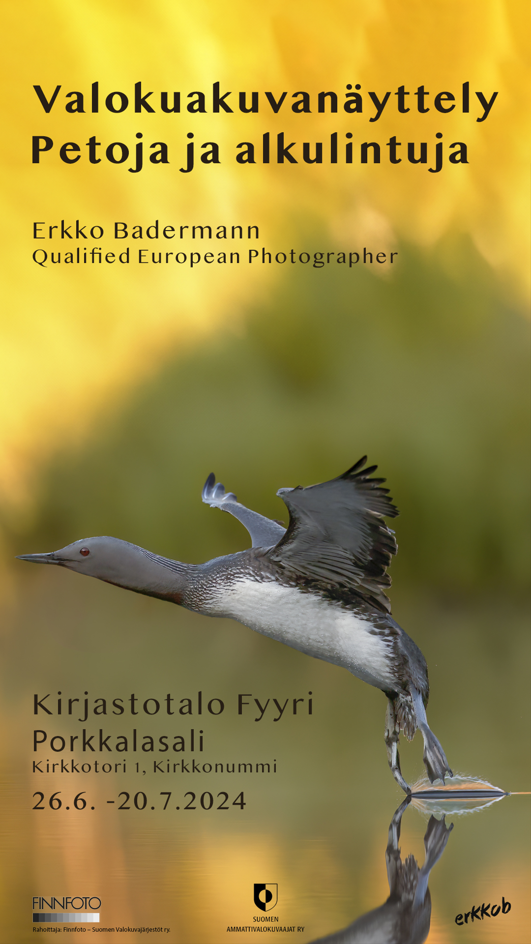 Fyyri – Porkkalasali (juliste)