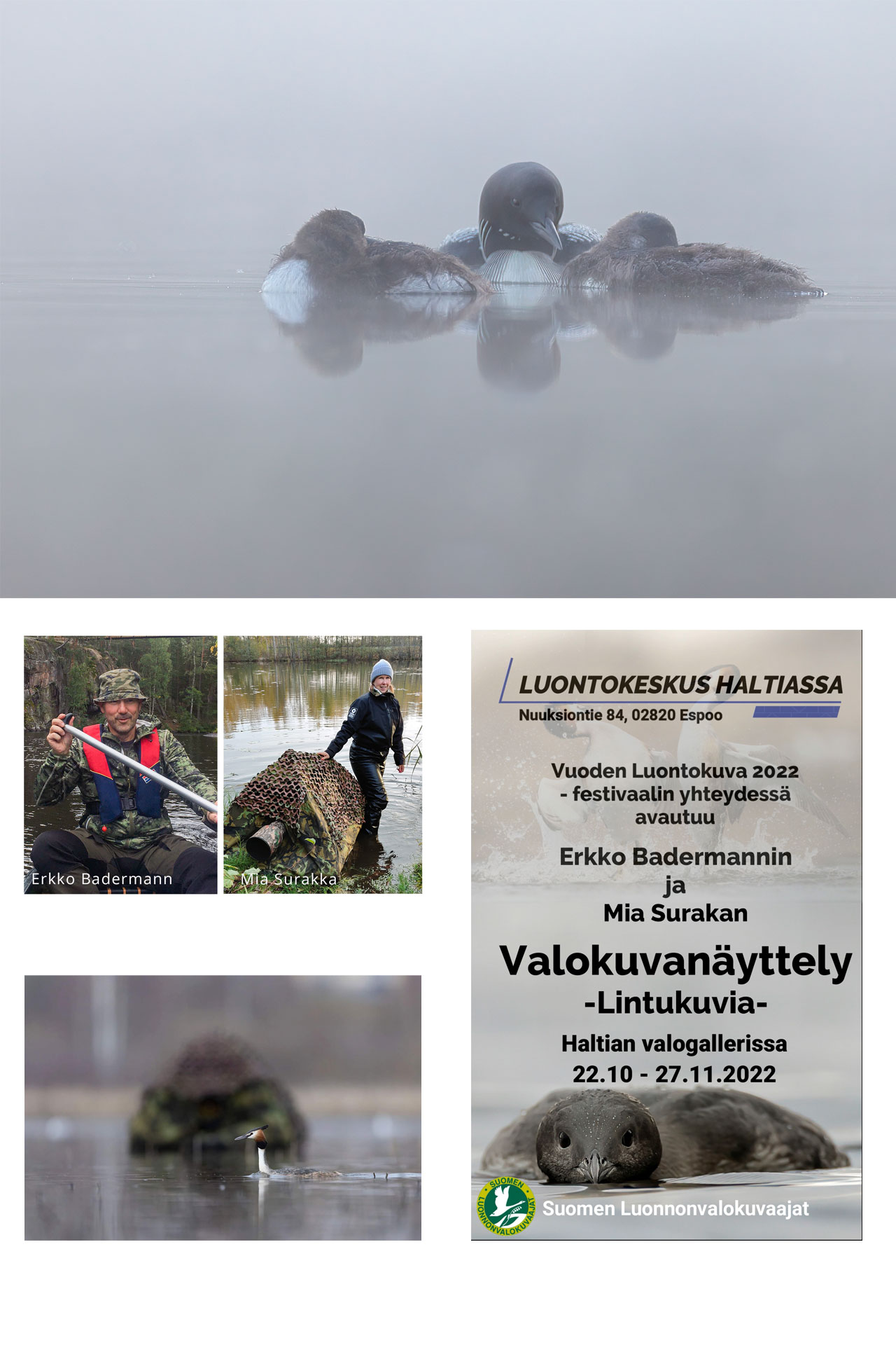 Haltia – Valogalleria (kuva)