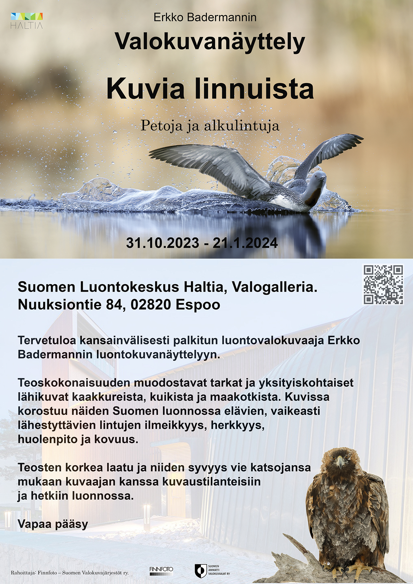 Haltia – Valogalleria (kuva)