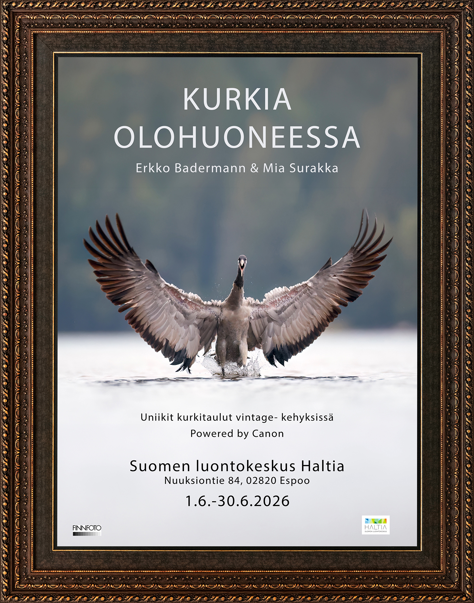 Kurkia Olohuoneessa – Luontokeskus Haltia (juliste/kuva)