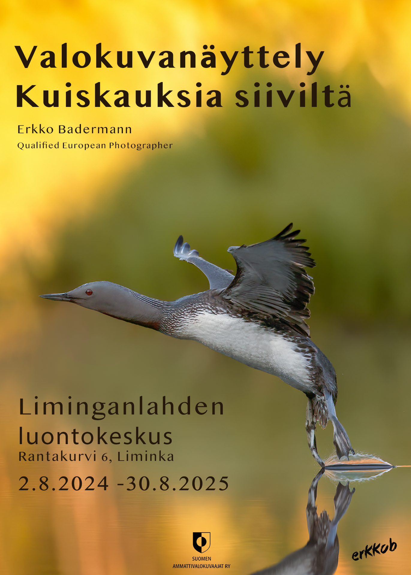Kosketuksia Siiviltä – Liminganlahden luontokeskus (juliste/kuva)