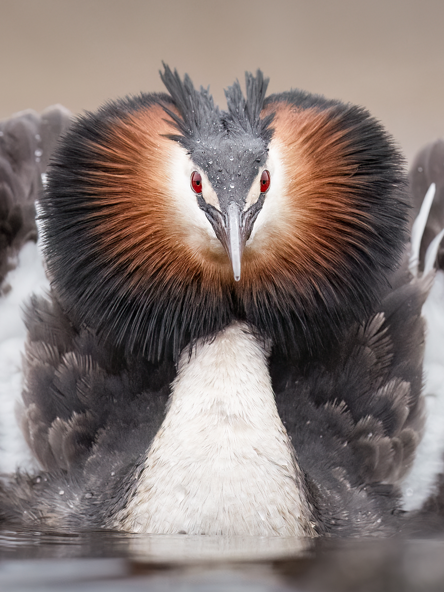 Yhteisnäyttely – Rönnvikin viinitila (juliste/kuva)