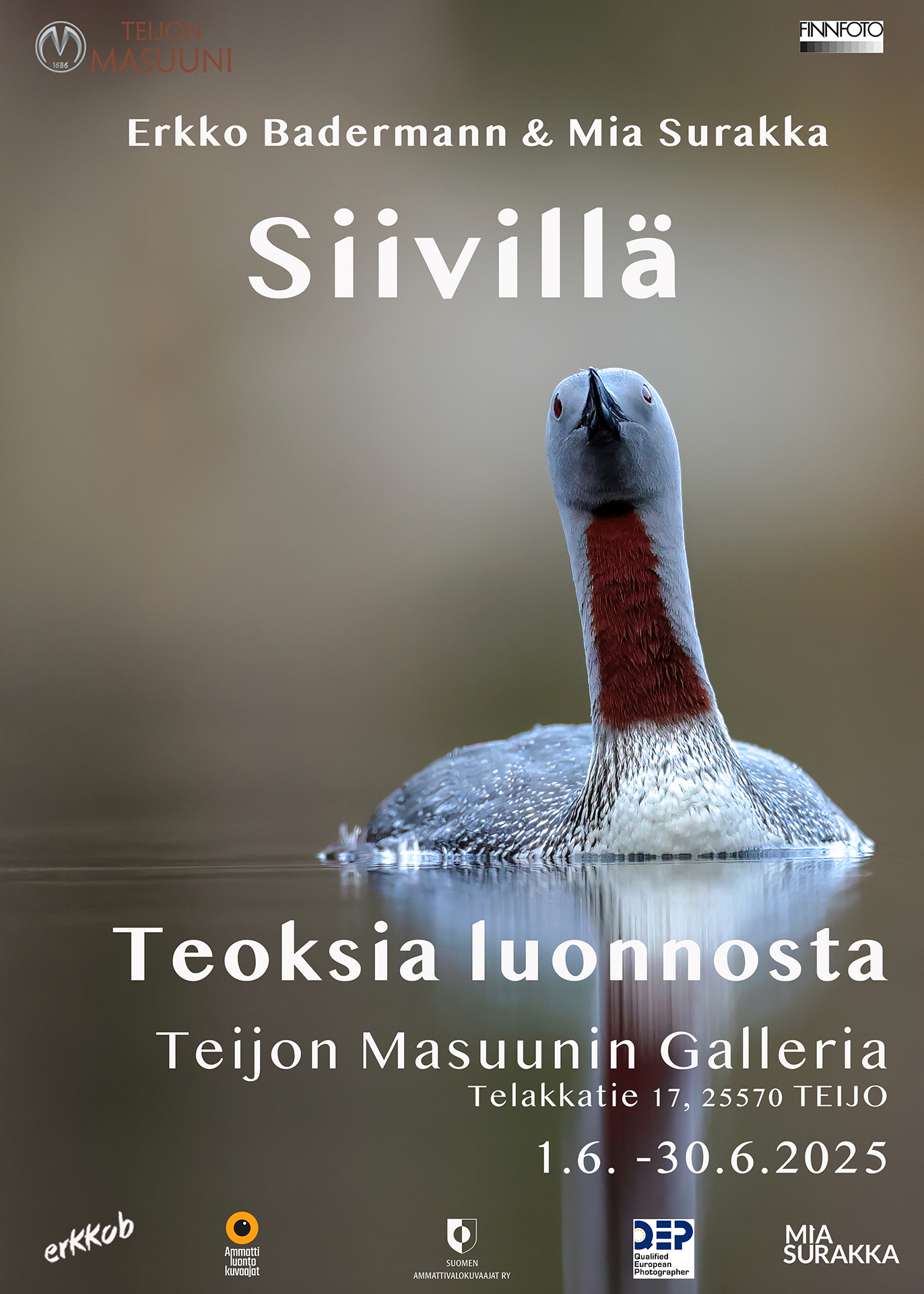 Teijon Masuunin Galleria – Siivillä (yhteisnäyttely) 2025