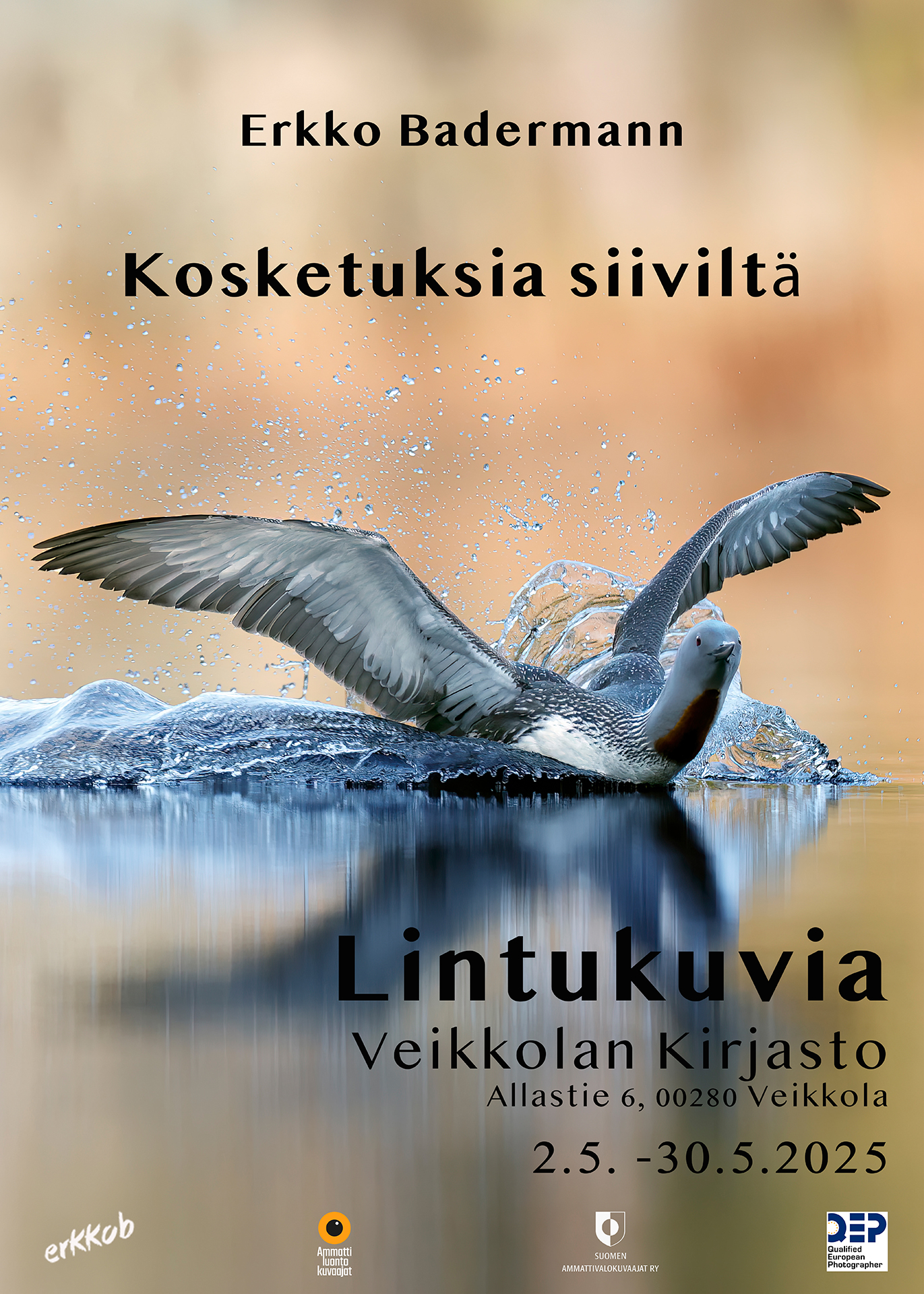 Veikkolan kirjasto – näyttely 2025
