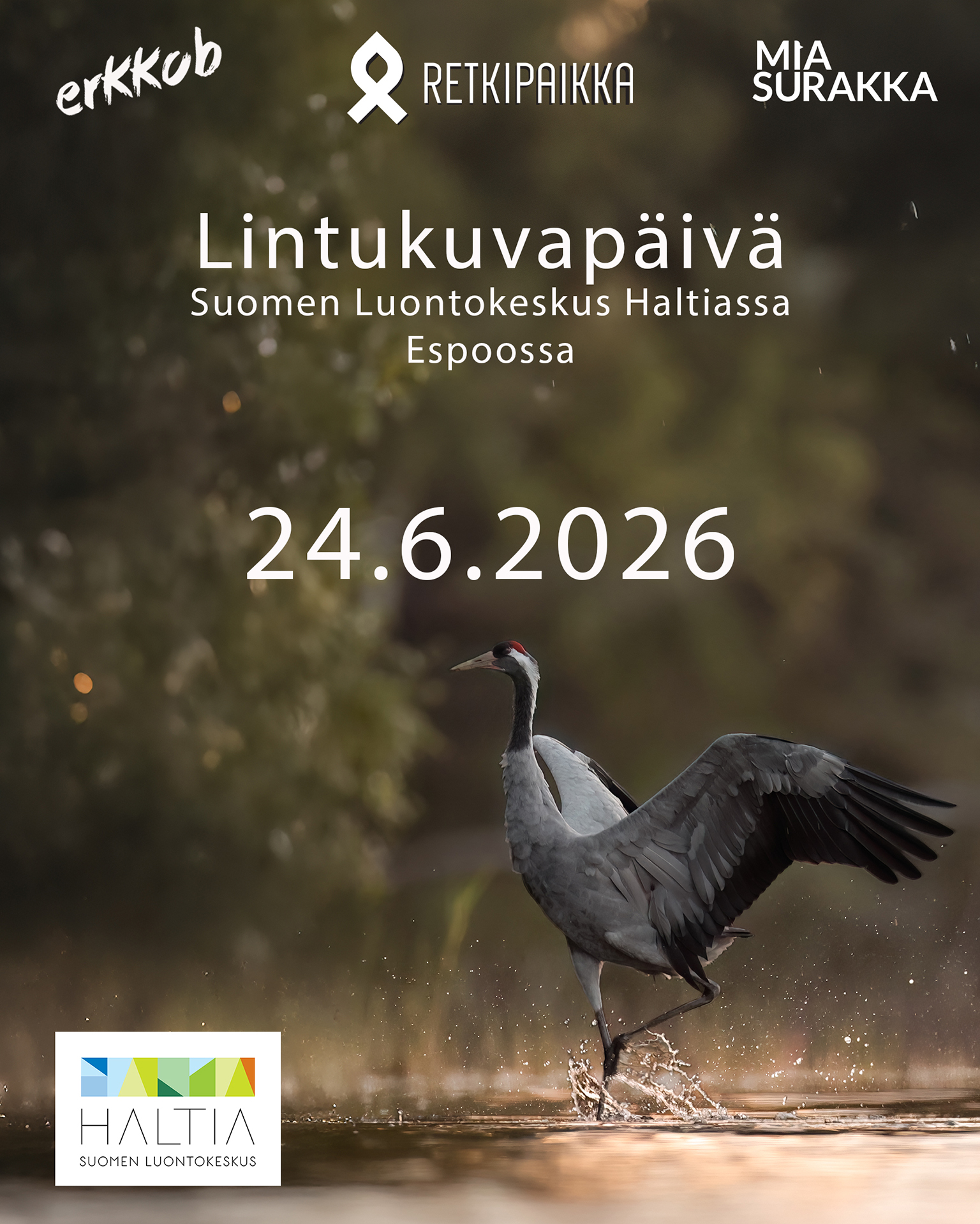 Tapahtuman kuva (esimerkki)