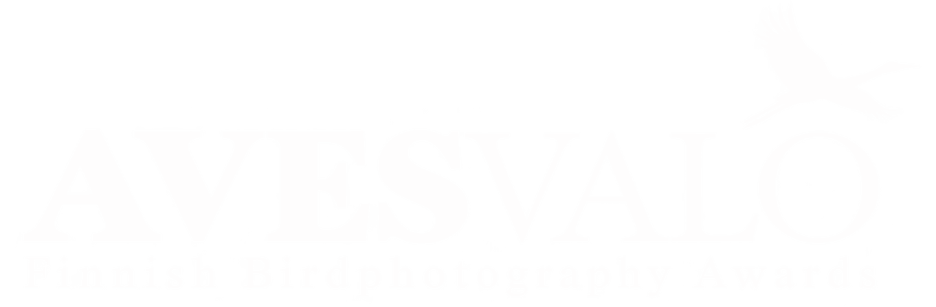 AVESVALO 2027 – lintukuvakilpailu